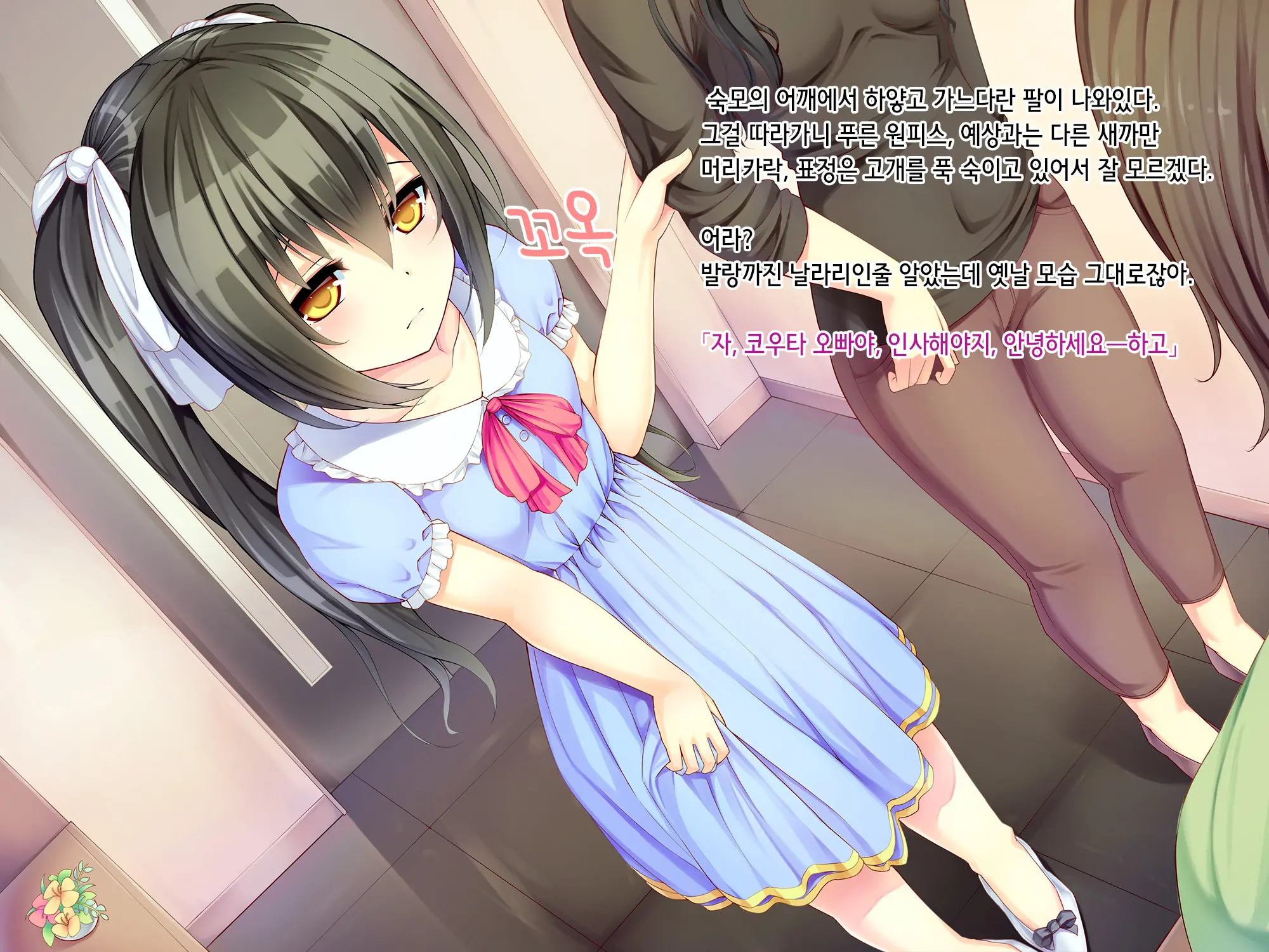 Itoko-Chan, Irasshai